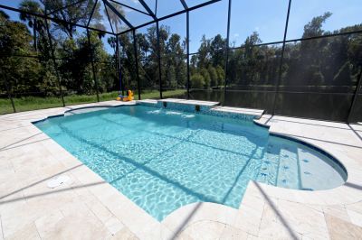 Protect Your Pool from Bugs and Pests!