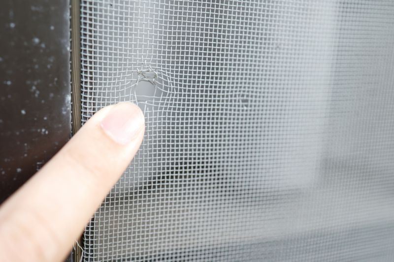 Lanai Screen Repair Costs — Cost of Lanai Screen Repair